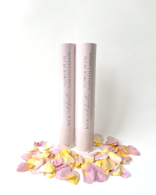 Confetti Cannon - Pastel Dried Rose Petal